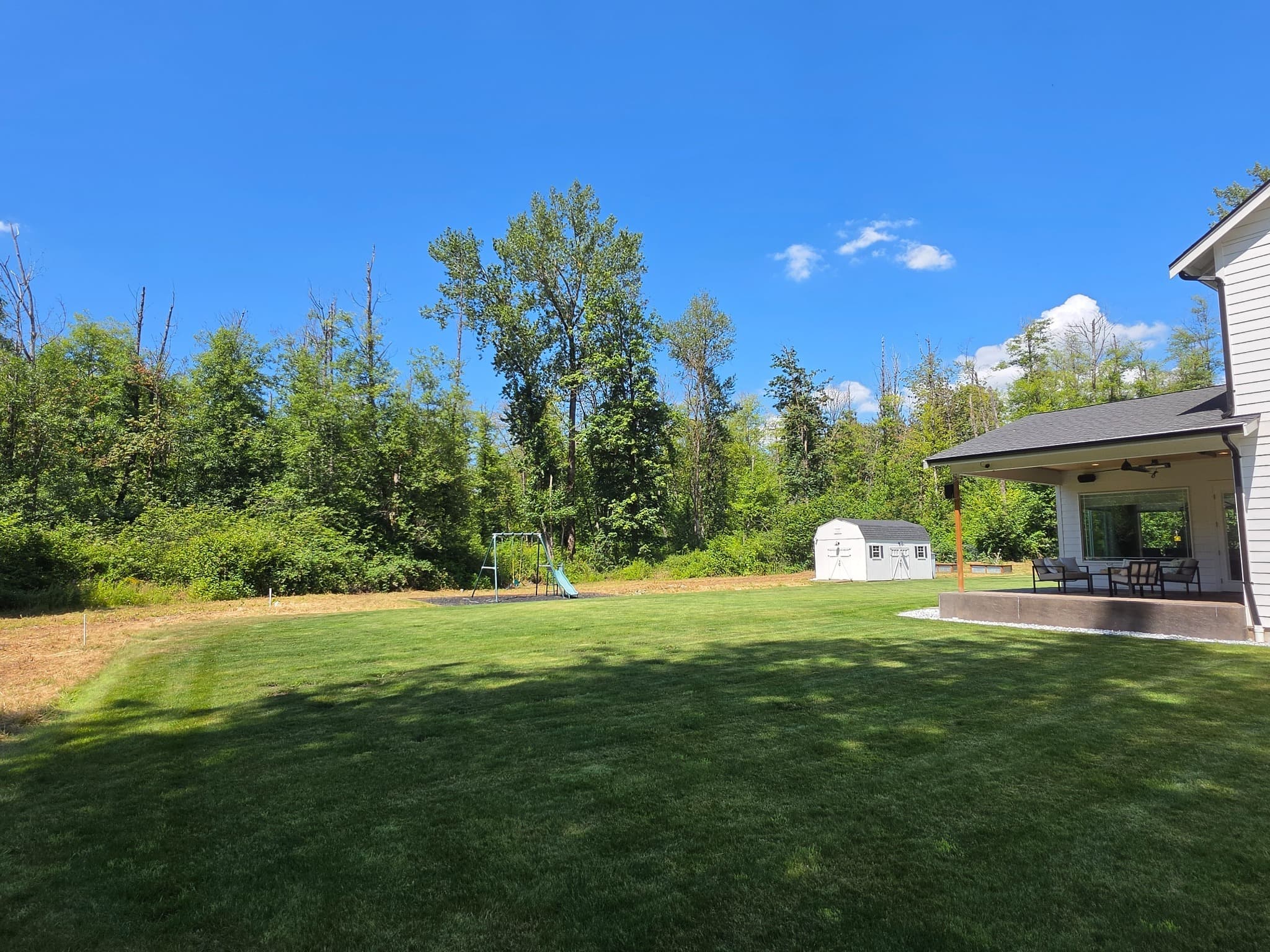 Expansive backyard and forest edge