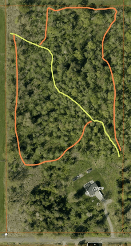 Trail map showing active and historic forest trails