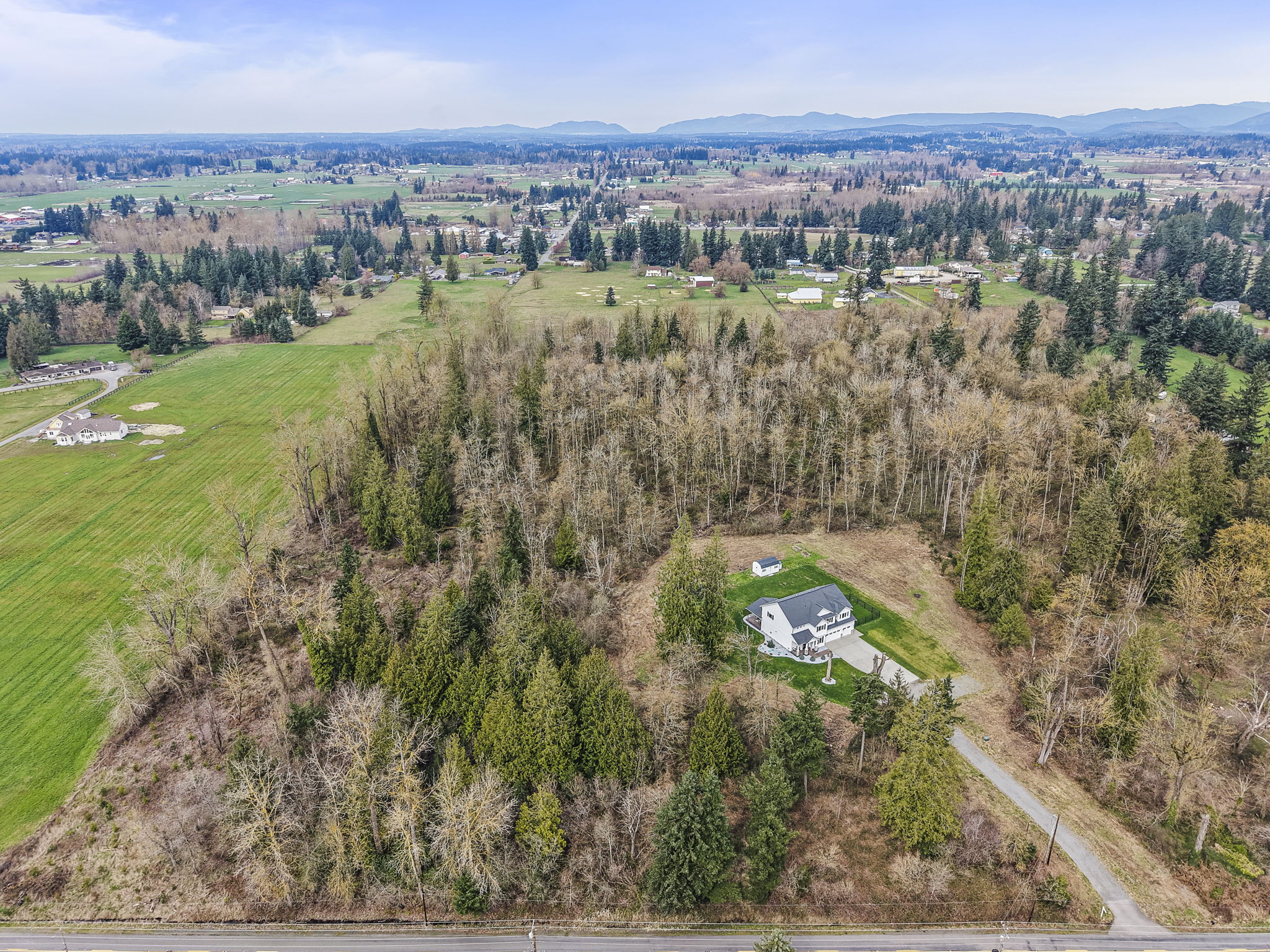 Bird's-eye view of the home and forest