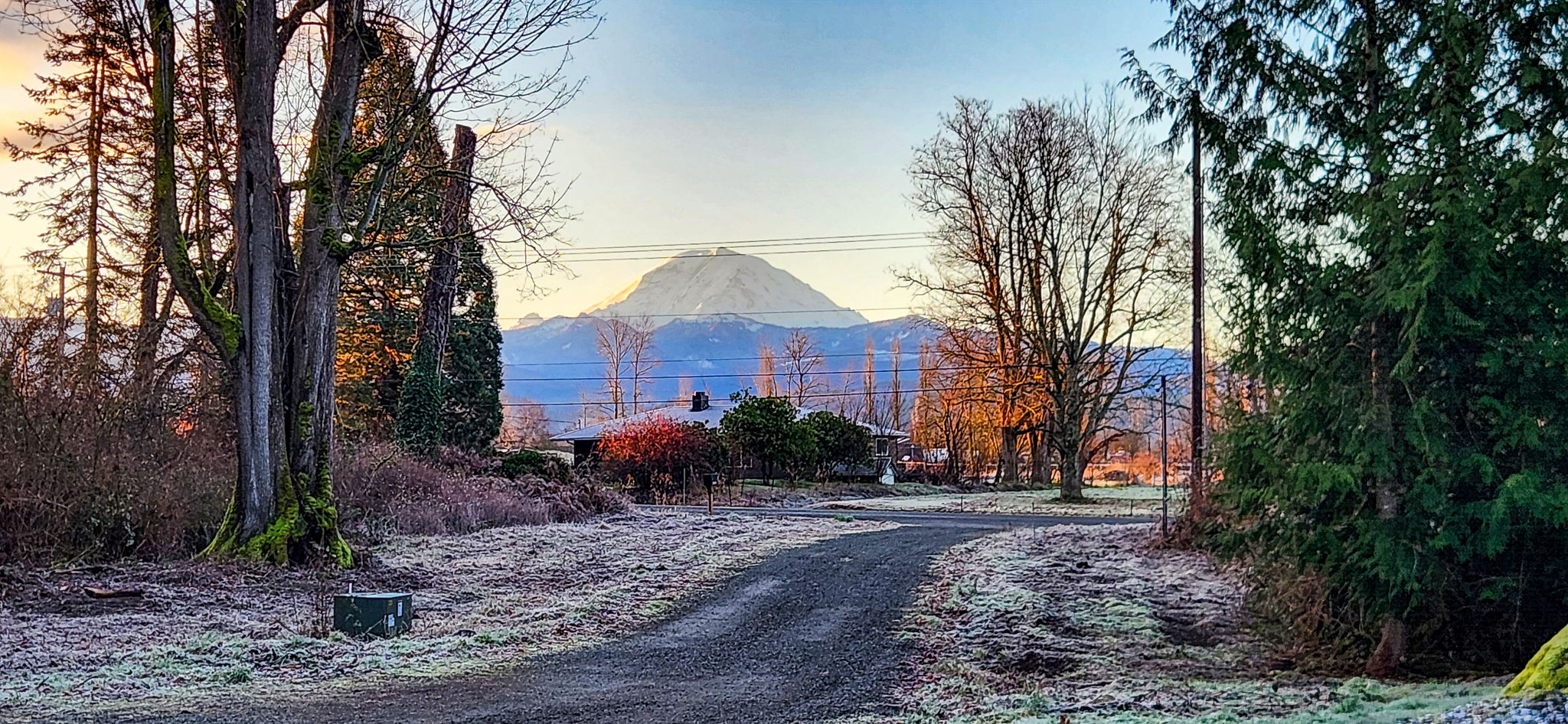 Mount Rainier view from the property